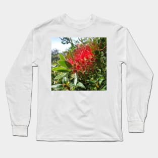 Bottlebrush Flower, photography by Immortal Peaches Long Sleeve T-Shirt